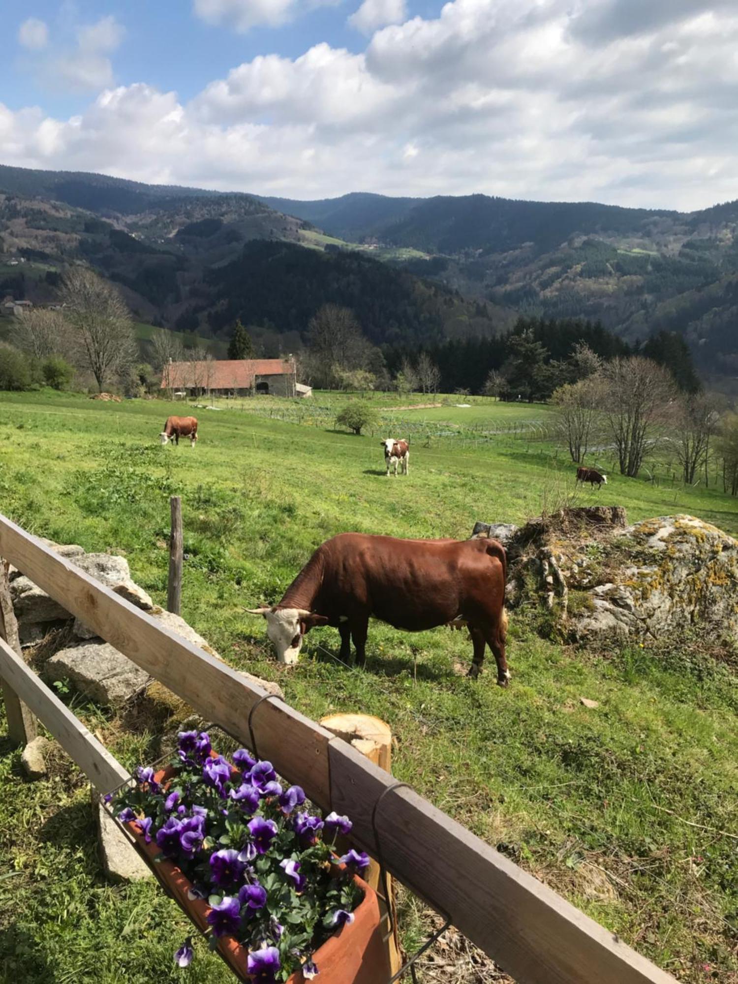 La Source D'En Haut Valcivières Kültér fotó