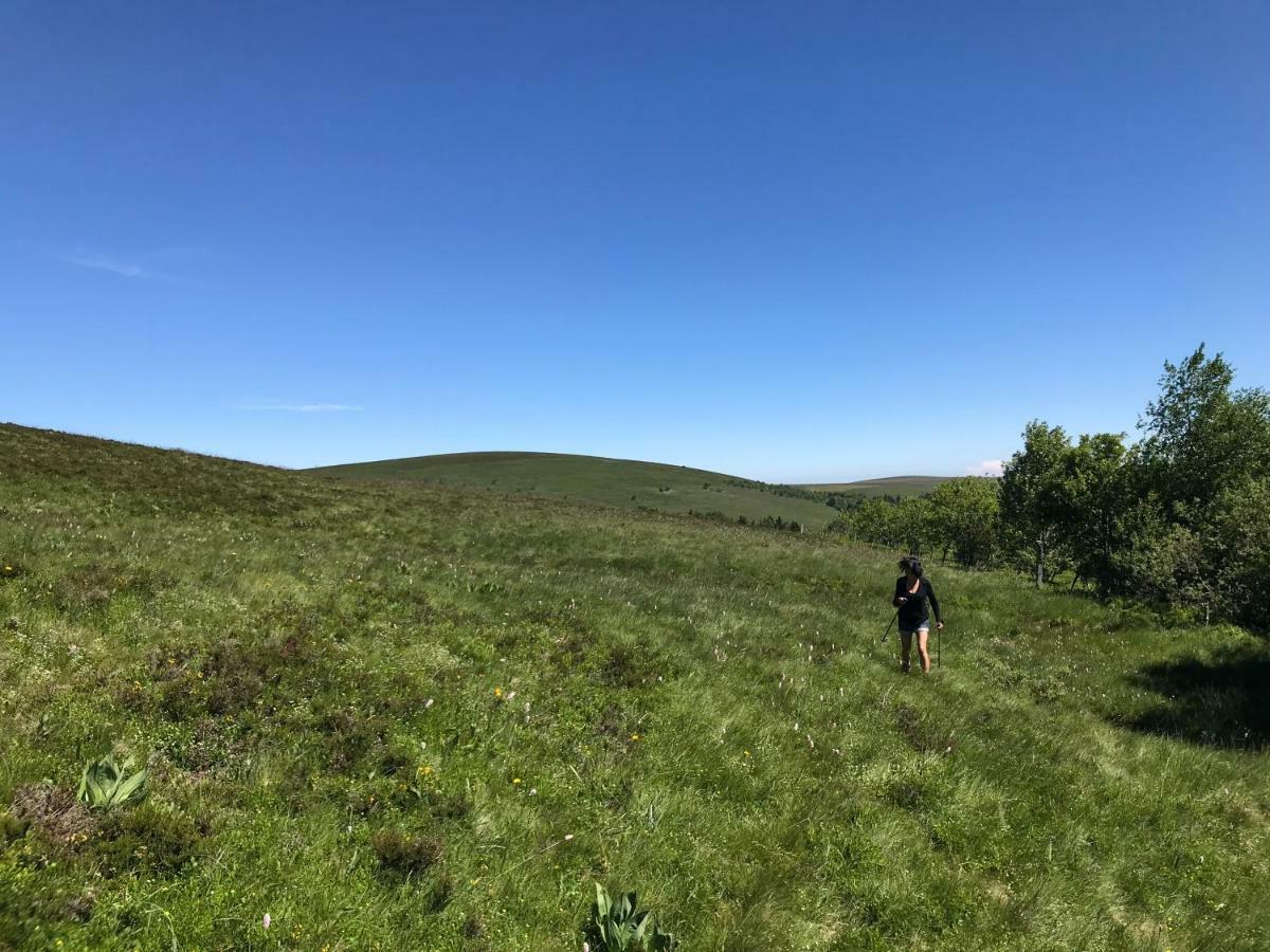 La Source D'En Haut Valcivières Kültér fotó