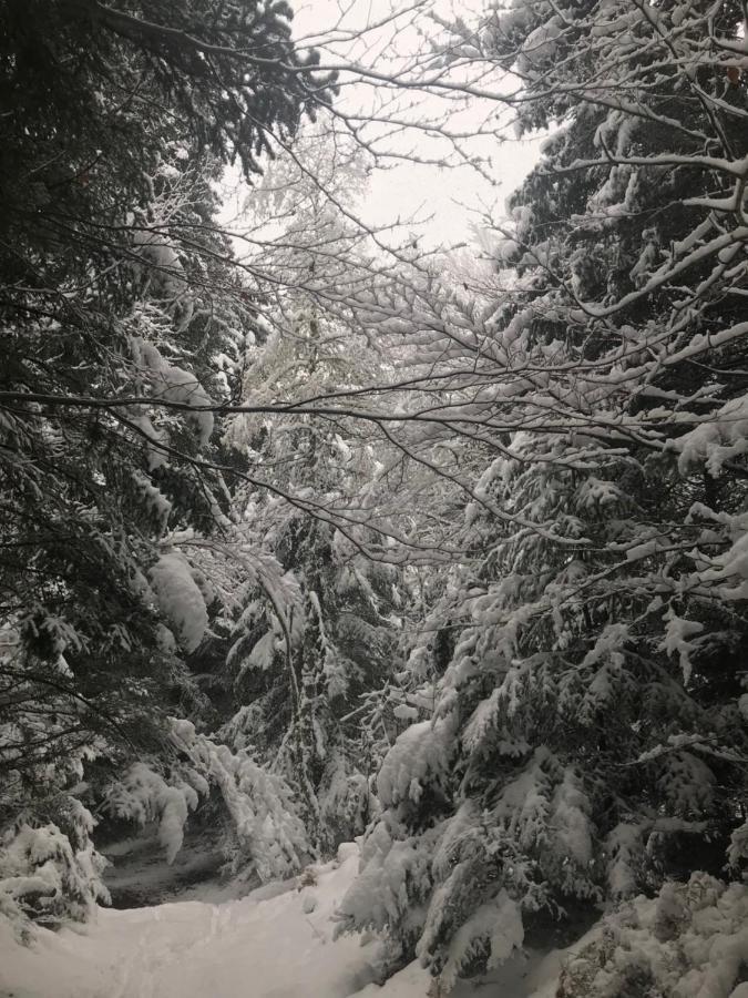 La Source D'En Haut Valcivières Kültér fotó